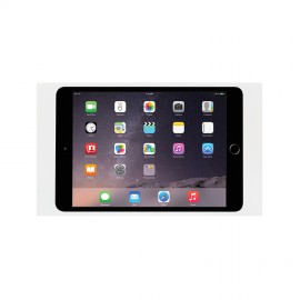 iPort Surface Mount System iPad mini 1-2-3