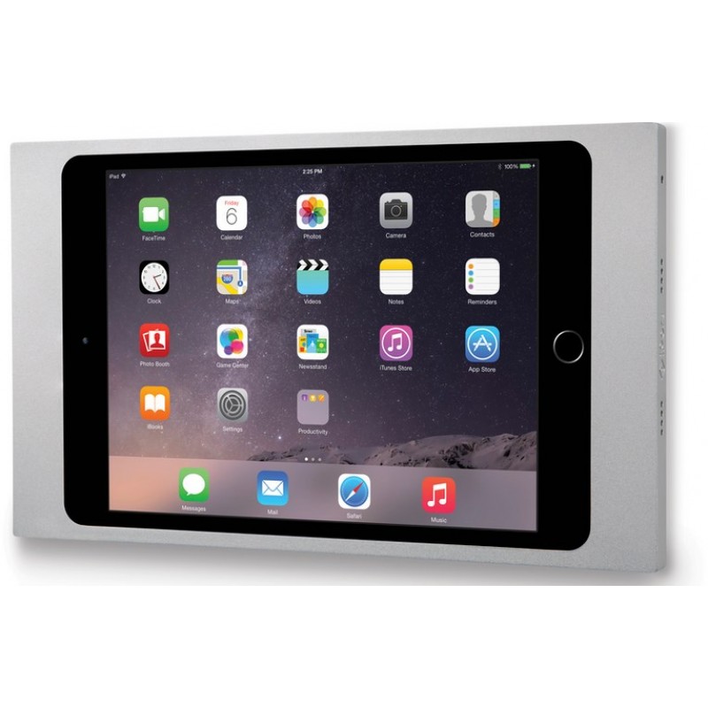 iPort Surface Mount System iPad mini 4|5